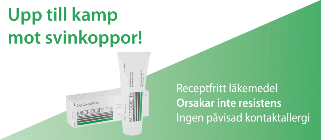 Hur Smittar Svinkoppor Svinkoppor är mycket smittsamt. Se hur du kan begränsa smittorisken.
